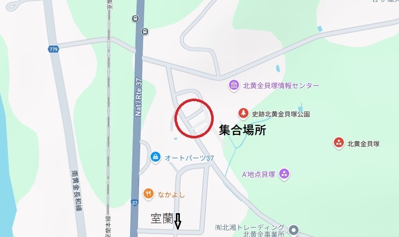eqTCNO